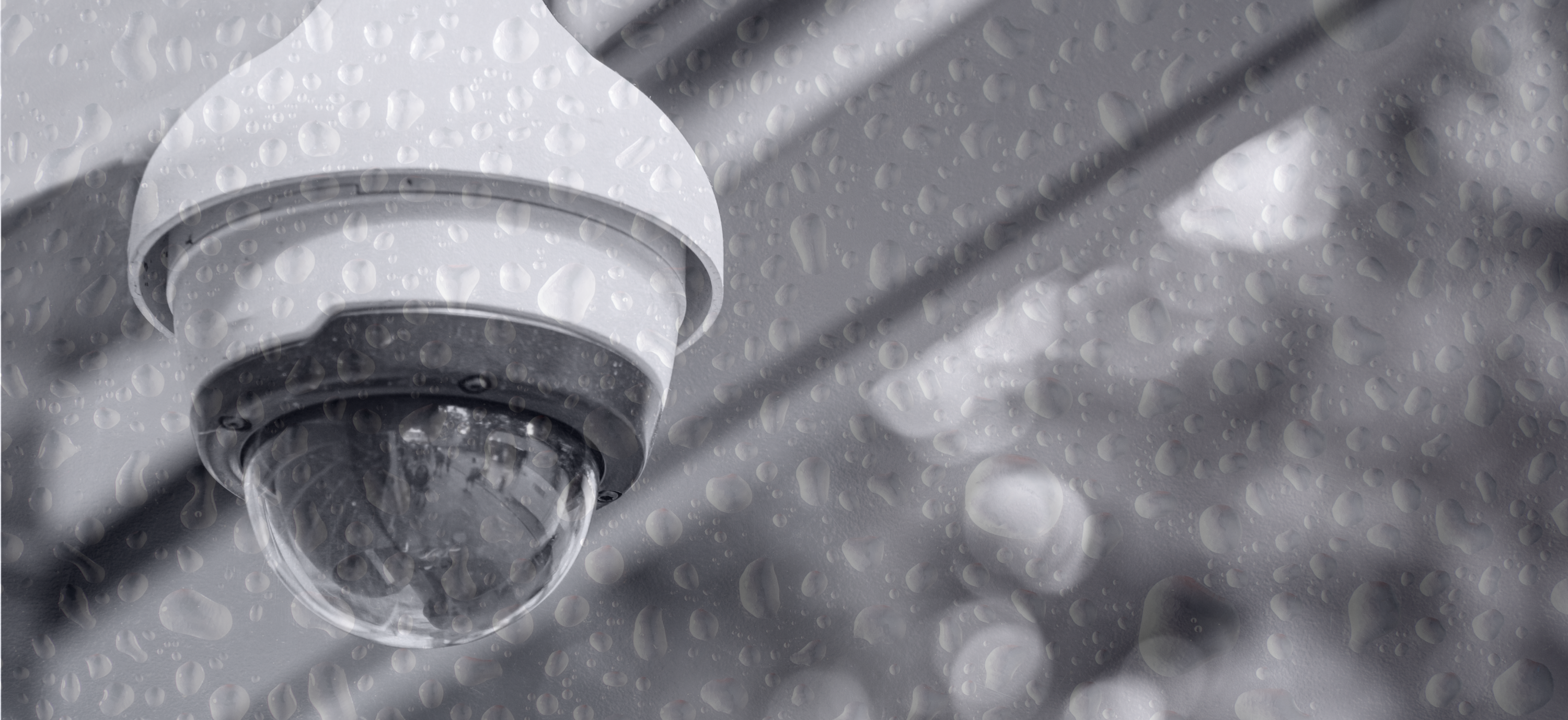 Are Your Cameras as Good When It’s Dark?