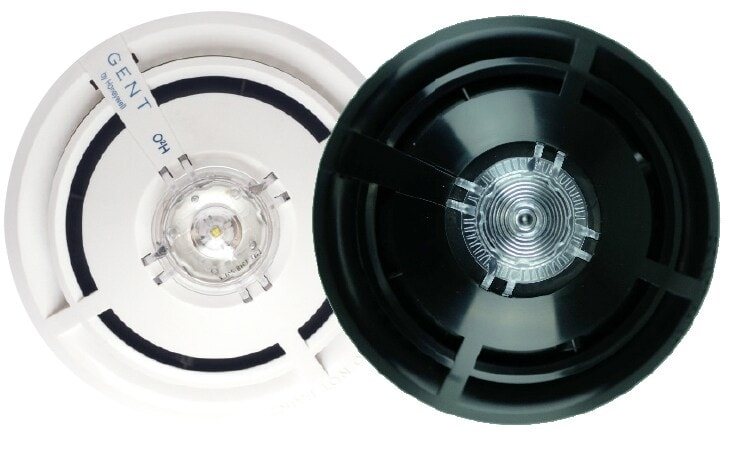 S-Quad detector and sounder